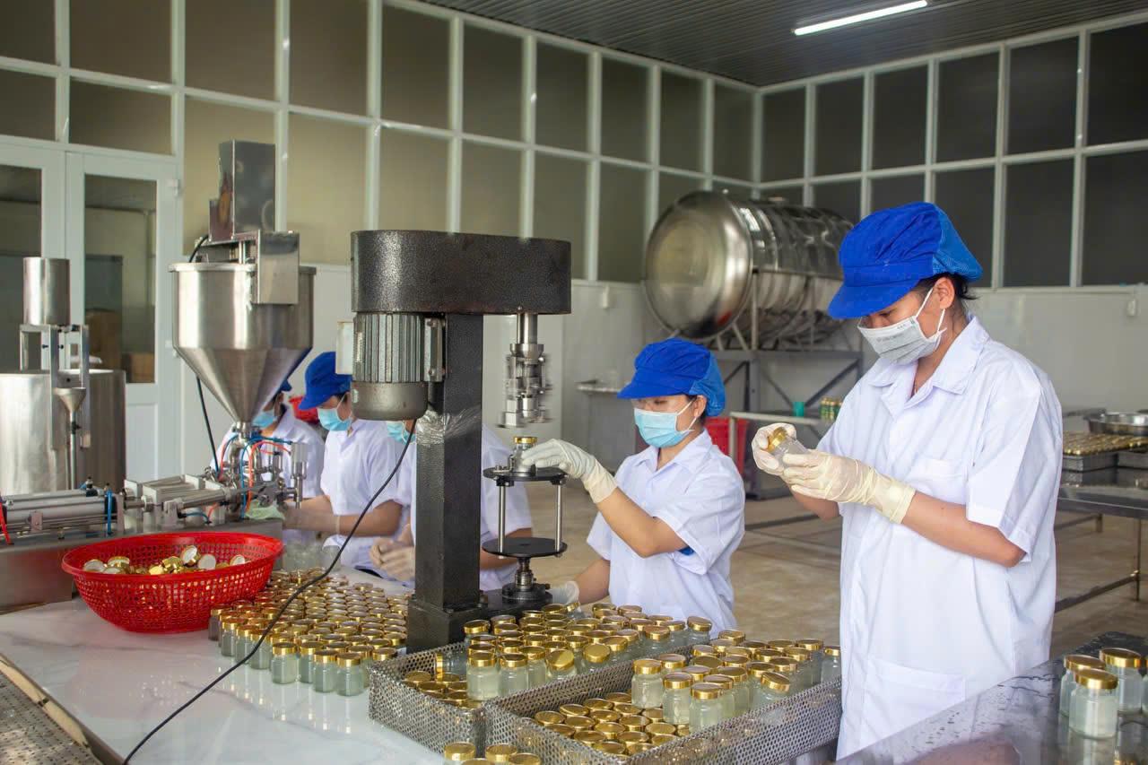 Quy trình sản xuất yến hũ